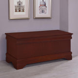 Warm Brown Cedar Chest B062P145495