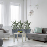 3 PCS Indoor Planters with Drainage Hole Gray 36403940