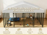 Dog Kennel Outdoor 20976984