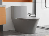 Matte Grey Elongated One Piece Toilet Dual Flush 1.1/1.6 GPF Water Saving Comfort Seat Height, Map W2826P192008