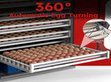400 Eggs Incubator Cabinet with Automatic Turning&Digital Temperature Control, Large Commercial 92537893