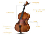 Full Side 4/4 Matte Natural Color Spruce Panel Cello with Bag Bow Rosin Bridge Strings 48508763