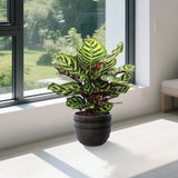 Handmade Dark Coffee Ceramic Planter Set of 4 , Indoor/Outdoor Flower Pot for W3273P321575