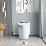 Smart Toilets with Heated Bidet Seat.Portable toilet with bidet built.Intelligent Toilet Auto W3133P256590