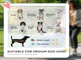 Dog Strollerpet Stroller 05169675