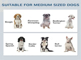 Dog Feeding Station with Built-in Storage & Raised Bowls Height-Adjustable Panel, Hooks for Medium 78921688