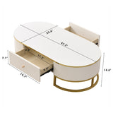 Modern Oval Coffee Table with Drawers,Curved Profile Design, Gold Metal Decor, Center Table for N735P192897K
