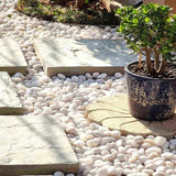 Garden Outdoor Landscape Stone, Yard, Walkway Stone, Plant Bonsai Stone, Vase, Artwork Stone 1-3 55963584