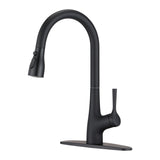 ZNTS Single Handle Pull Down Kitchen Sink Faucet Matte Black JYBC941MB