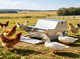 Automatic Chicken Feeder 09615396