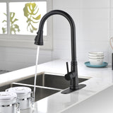 ZNTS Single Handle High Arc Pull Out Kitchen Faucet,Single Level Stainless Steel Kitchen Sink Faucets 30523616