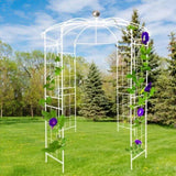 Metal Garden Arch Iron Garden Arbors Gazebo Dia 81.3'' x 114.2'' High Birdcage Shape Pergola 02566604