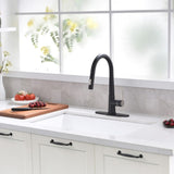Pull Out Kitchen Faucet Black Kitchen Faucet Single Handle Kitchen faucet W1932P154737
