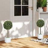 Artificial Plant/Green plants 81278399