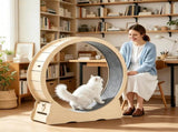 Wooden Cat Exercise Wheel 65485135