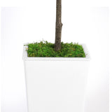 Artificial Olive Tree 8FT with Pot and Moss, Artificial Plants for Home Office Decor T3210P298178