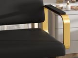 Hydraulic Salon - 360&deg Swivel Barber Stylist with Pump, Non-Tilting Hairdressing W2700P318173