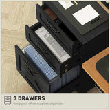 File Cabinet/ Storage cabinet 09626340
