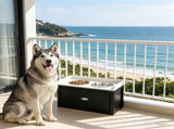 Elevated Dog Bowls 39270863