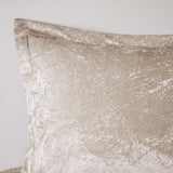 Twin/Twin XL Velvet Comforter Set with Throw Pillow B035P203251