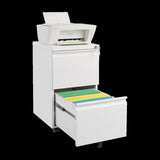 Metal 2 Drawer Mobile File Cabinet with Lock, Under Desk Office Steel Filing Cabinet, 25.6''H W1247125572