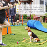Dog agility training equipment 00490538