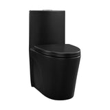 ZNTS 15 5/8 Inch 1.1/1.6 GPF Dual Flush 1-Piece Elongated Toilet with Soft-Close Seat - Matte Black W1920139010