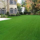 Realistic Synthetic Artificial Grass Mat 65x 3ft with 3/8" grass blades height Indoor Outdoor Garden 49982071