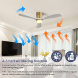 52 Inch Decorative LED Ceiling Fan With Dimmable LED Light 6 Speed Remote 3 Solid Wood Blades W934102584