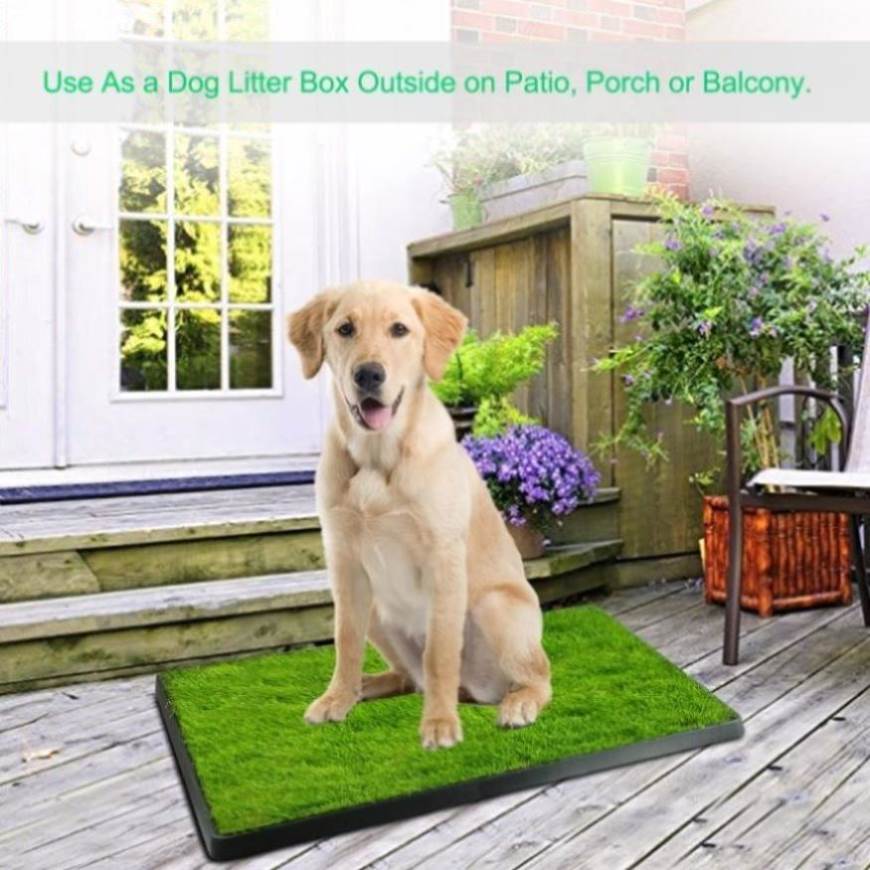 Balcony dog toilet best sale