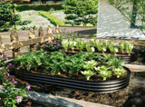 Galvanized Raised Garden Bed 8x4x1ft - Heavy Duty Metal Planter Box for Vegetables, Herbs & Flowers, W840P499238