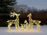 3pcs 2.4FT 2D 4.5V 3.60W Family Elk Iron Frame Courtyard Elk Decoration 55066775