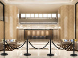 4 PCS Black Stanchions with Black Velvet Rope - Exhibition Crowd Control Poles,with Sand Injection 21045268