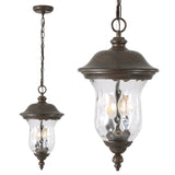 Rustic Outdoor Hanging Lantern, Weatherproof Vintage Pendant Light with Clear Glass Shade, W1340P209948
