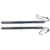 2PCS Rear Power Liftgate Tailgate Lift Support for Toyota RAV4 Prime 2019-2021 71766552