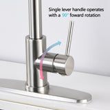 Stainless Steel Pull Down Kitchen Faucet with Soap Dispenser Brushed Nickel W122569700