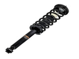 2x Rear Struts & Shocks Assembly Set fit for 2003-2007 Honda Accord 04-08 Acura TL 79156174