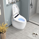 Smart Toilets with Heated Bidet Seat.Portable toilet with bidet built.Intelligent Toilet Auto W3133P256590