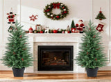 2 Pcs 4FT LED Trees Christmas with Timer and 15 Red Berry Clusters, Easy Assembl 70213027
