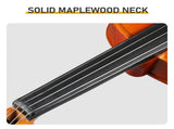 Brand new 4/4 natural tiger-striped acoustic violin set includes pitch stickers, tuner, strings, 00914911