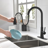 ZNTS Single Handle High Arc Pull Out Kitchen Faucet,Single Level Stainless Steel Kitchen Sink Faucets 30523616