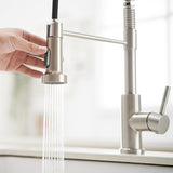 Kitchen Faucet with Pull Down Sprayer Brushed Nickel Stainless Steel Single Handle Pull Out Spring W1932P224854