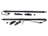 2x Rear Tailgate Pull Down Motor Strut For 2014-2019 Toyota Highlander Assy Unit 68910-09130 44742682