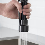 Commercial Black Kitchen with Pull Down Sprayer, Single Handle Single Lever Kitchen Sink W1932P172304
