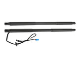 2x Trunk Lift Supports Shocks Fit for Mercedes-Benz GL350 GL450 GL550 ML350 W166 81797537