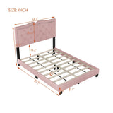 Full Size Upholstered Bed Frame with Rivet Design, Modern Velvet Platform Bed with Tufted WF317301AAH