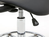 Saddle Shape Adjustable Salon Stool with Back Black 77528035
