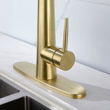 ZNTS Gold Kitchen Faucets with Pull Down Sprayer, Kitchen Sink Faucet with Pull Out Sprayer,Fingerprint 93404954