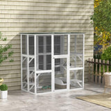 Cat House 41259623