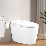 ZNTS Smart Toilet Bidet Combo with Foot Sensor Open Cover/Seat, Self-Cleaning Nozzle, Heated Seat, Night W1219P243771